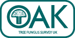 Standing Oak Tree Fungus Survey